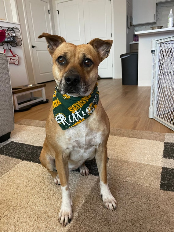 Packer dog sale bandana