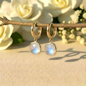 May include: A pair of gold hoop earrings with square, iridescent moonstone pendants. The earrings are hanging from a small branch, with white flowers in the background. The earrings have a polished finish and a secure clasp.