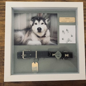 Custom pet memorial frame with photo & plaque shadow box for pet collar