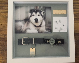 Cadre commémoratif personnalisé pour animaux de compagnie avec boîte à ombre photo et plaque pour collier d'animal de compagnie