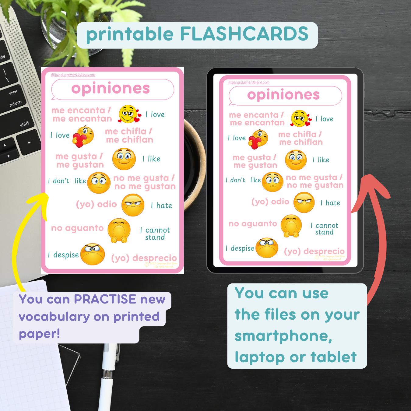 Learn SPANISH BASIC VOCABULARY Overview Bundle A5 Flashcards Spanish ...