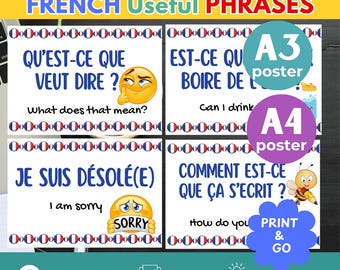 FRENCH CLASSROOM DECOR French Phrases Posters Back to School Bulletin Boards French English Printable Posters Decorate Classroom Bilingual