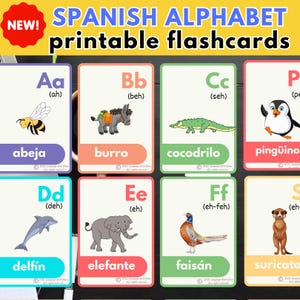 Learn SPANISH ALPHABET flashcards Spanish English Pdf Educational Printable flashcards Preschool, Kindergarten Homeschool Montessori
