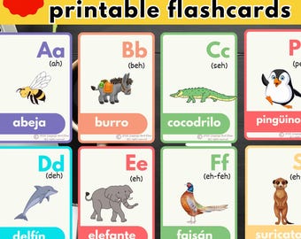 Learn SPANISH ALPHABET flashcards Spanish English Pdf Educational Printable flashcards Preschool, Kindergarten Homeschool Montessori