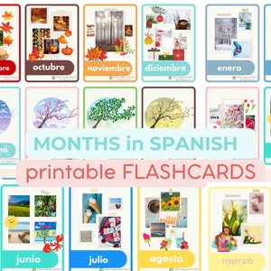 SPANISH LANGUAGE BASICS flashcards Spanish Educational Printable Flashcards Essential Spanish for beginners Spanish hacks