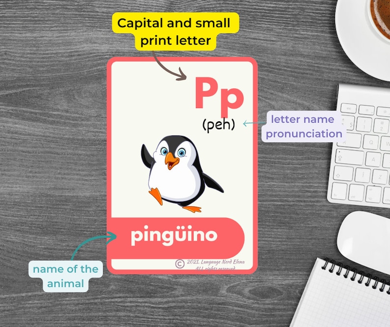 Peut inclure: Une carte flash rose et blanche avec un pingouin de dessin anim&eacute;. La carte montre la lettre majuscule et minuscule "P" avec la prononciation "peh" et le mot "ping&uuml;ino" &eacute;crit sous le pingouin. La carte est &eacute;tiquet&eacute;e "Lettre majuscule et minuscule", "Prononciation du nom de la lettre" et "Nom de l'animal".
