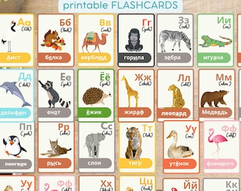 RUSSIAN abc Cyrrilic ALPHABET flashcards in 2 Colour Designs Russian Alphabet with letter pronunciation Russian for BEGINNERS Educational