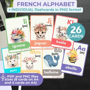 Learn FRENCH ALPHABET flashcards Educational Printable flashcards Educational Cards for Kids Preschool Download Homeschooling French