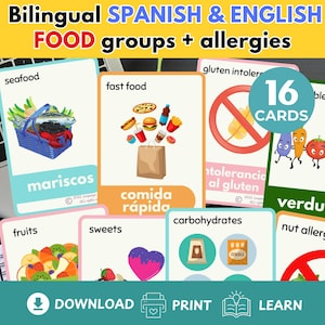 Spanish Food Groups Allergies Flashcards Bilingual Spanish-English Flashcards language learning Spanish Homeschool resource TeachingMaterial