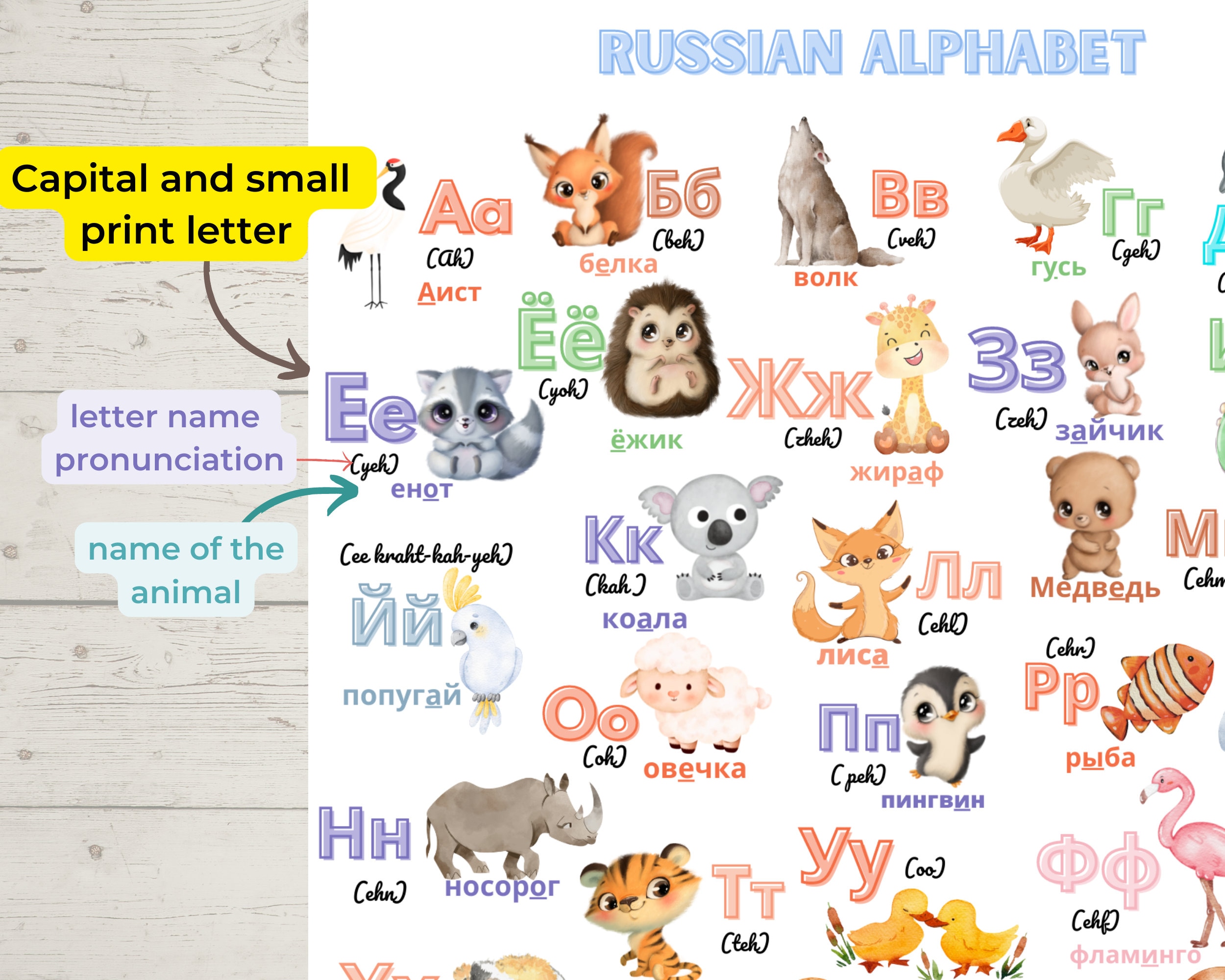 RUSSIAN abc Cyrrilic ALPHABET Poster Russian for BEGINNERS Educational Printable posters Russian Pdf Printable