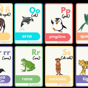 Peut inclure: Cartes m&eacute;moire color&eacute;es avec des lettres de l'alphabet espagnol et des illustrations d'animaux. Chaque carte pr&eacute;sente une lettre, sa prononciation et le mot espagnol pour l'animal.