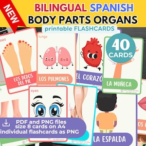 Learn Spanish Spanish English PDF Bilingual Body Parts and Organs Flashcards Spanish and English Printable TEACHING Learning Material