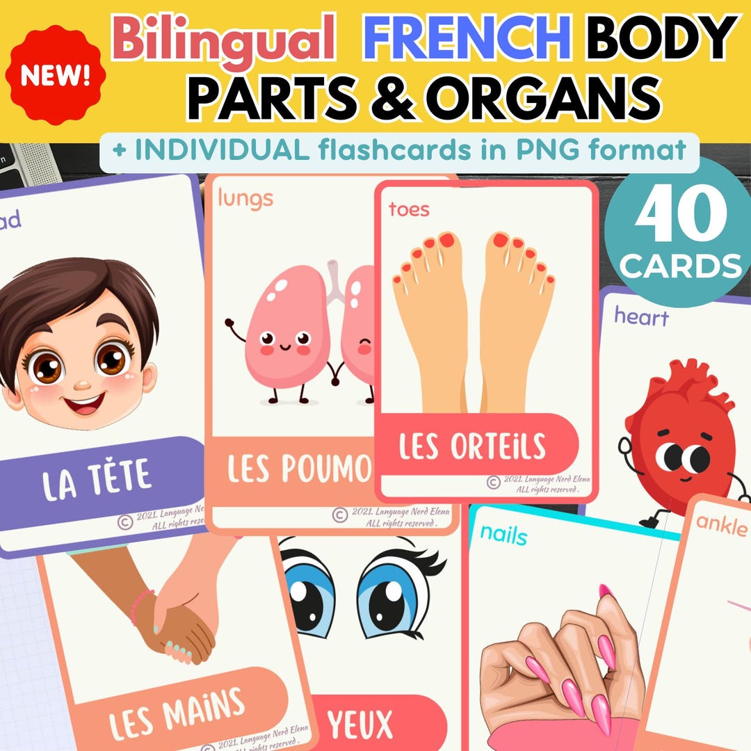 Bilingual French English Body Parts and Organs Flashcards French ...