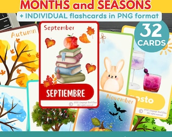 Learn SPANISH Months Vocabulary BASICS flashcards Spanish Educational Printable Flashcards for Children Adults Essential Spanish beginners