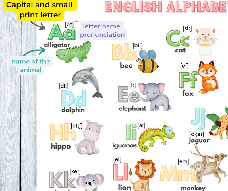 ENGLISH ALPHABET Poster in 2 Designs English for BEGINNERS Educational ...