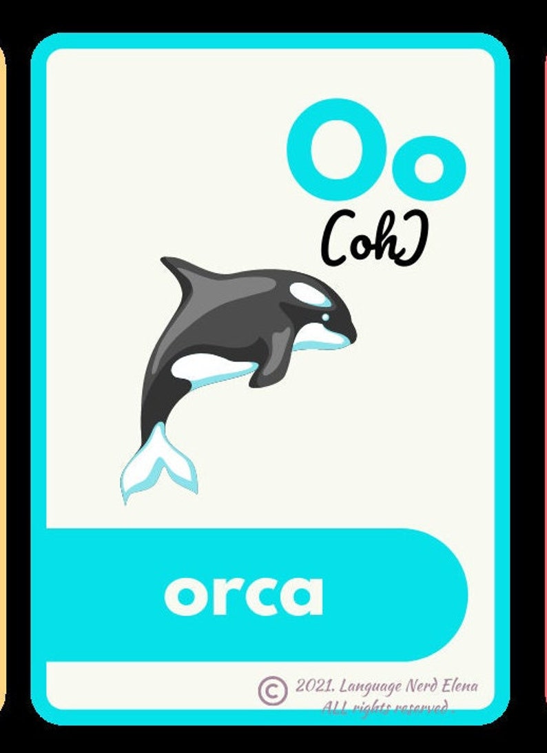 Peut inclure: Une carte d'alphabet bleue et blanche avec la lettre "O" et le mot "Oh" &eacute;crit en cursive. La lettre "O" est entour&eacute;e d'un cercle bleu. Une illustration d'une orque noire et blanche est repr&eacute;sent&eacute;e en train de sauter hors de l'eau. Le mot "orca" est &eacute;crit en lettres blanches sur un fond bleu en bas de la carte. Le symbole de copyright et le texte "2021. Language Nerd Elena Tous droits r&eacute;serv&eacute;s." sont &eacute;crits en gris en bas de la carte.