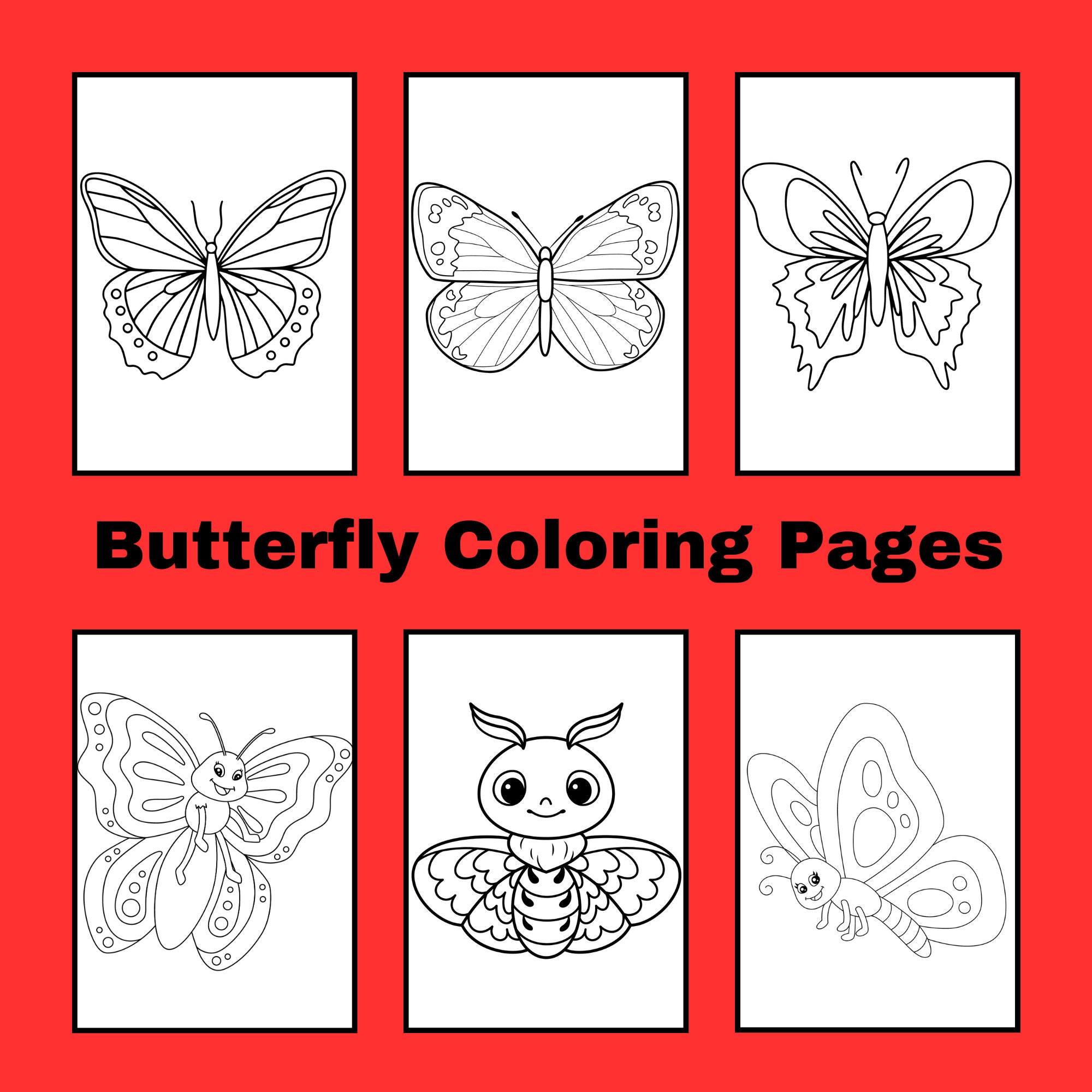 Birds Bugs and Botany Mini Coloring Book, Coloring Books for Adults, Coloring  Books for Kids, Small Coloring Book, A Brighter Year on  