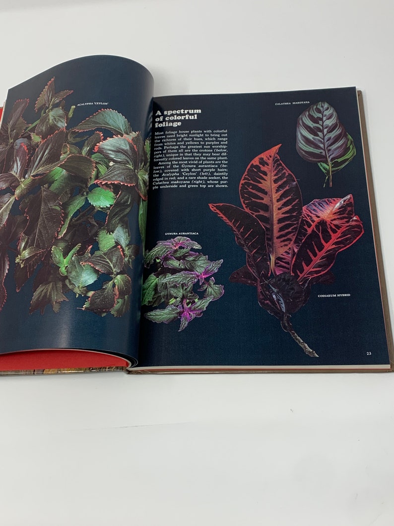 Vintage 1972 Foliage House Plants the Timelife Encyclopedia Etsy