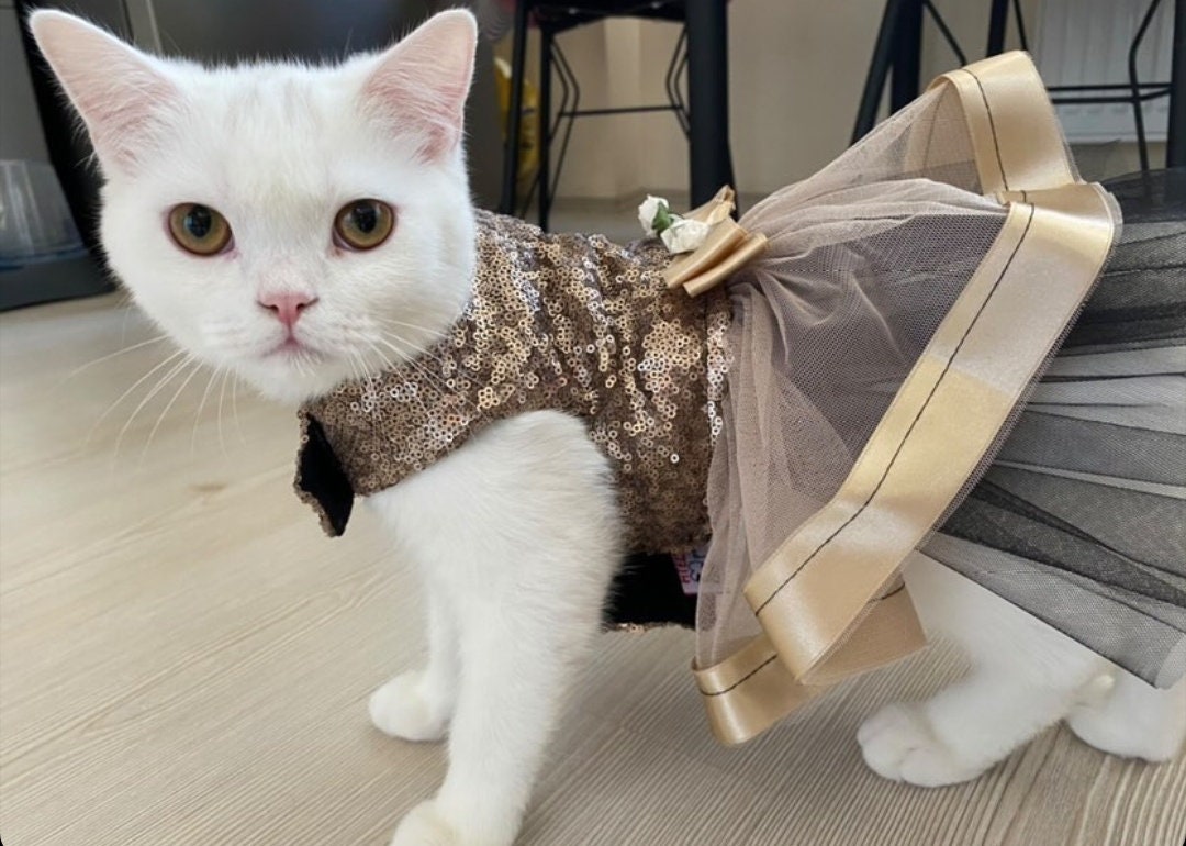 Blusea Dog Cat Pet Mesh Vest Harness Dress Short Skirt Tutu Dress for Dogs Cats Puppy Kitten 