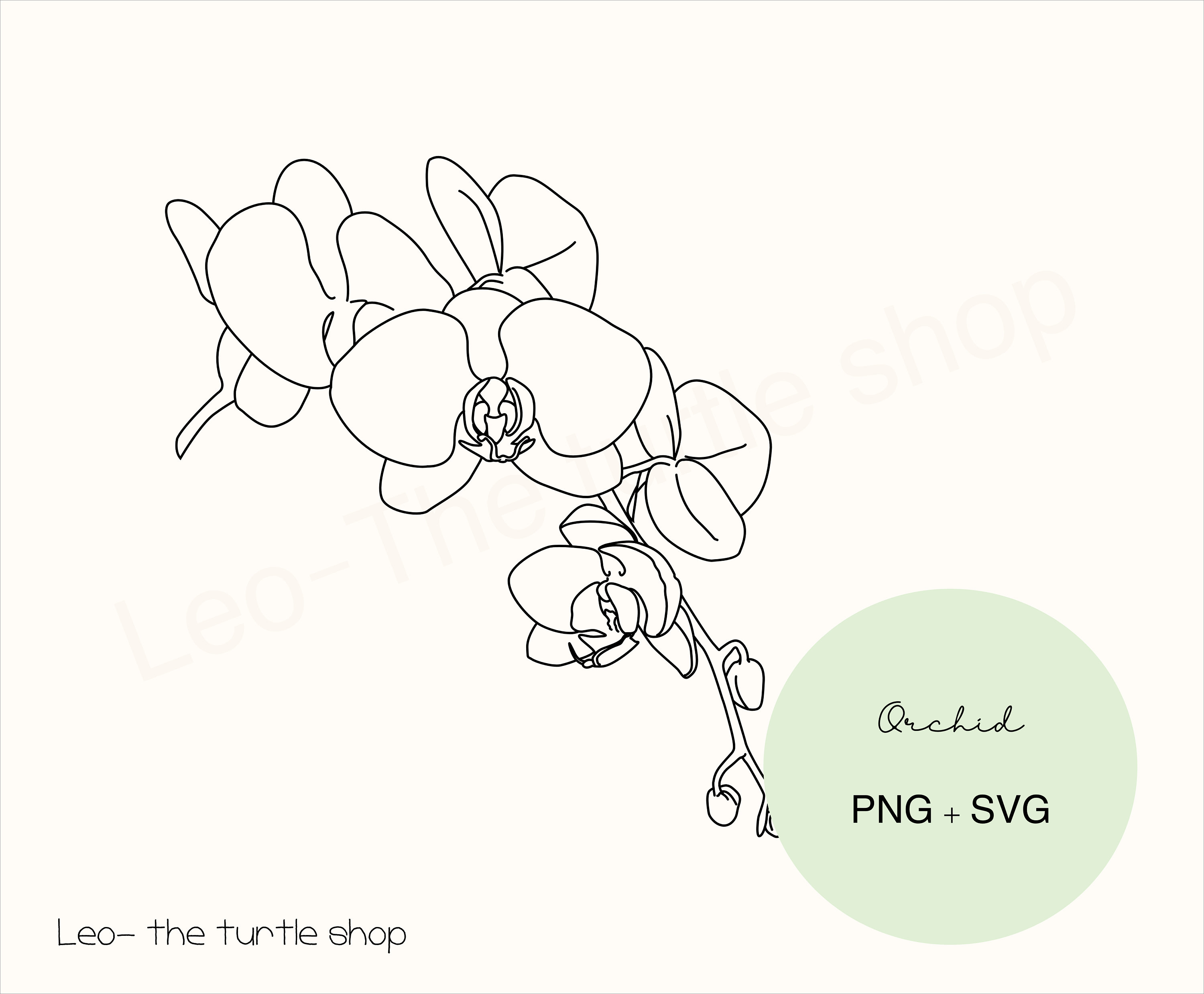 Orchids flower. drawing and sketch with black and white line-art. | CanStock