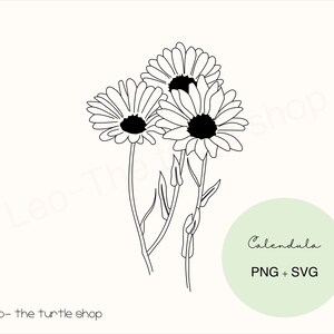 Calendula plant lineart - PNG / SVG | Digital download | Plant Clipart | Botanical Clipart | Commercial use included