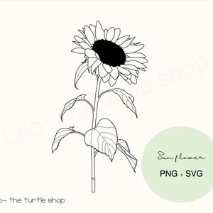 Sun flower lineart - PNG / SVG  | Digital download | Plant Clipart | Botanical Clipart | Commercial use included