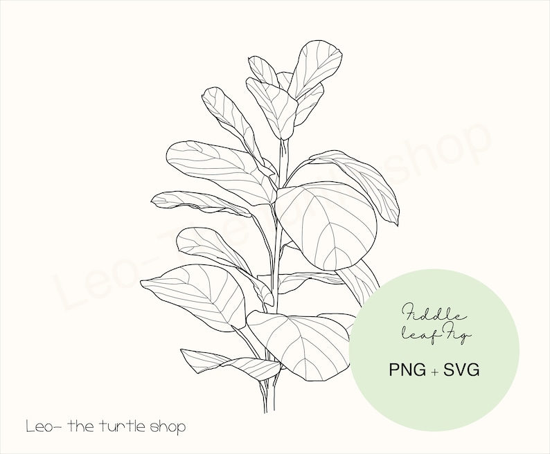 Fiddle Leaf Fig Lineart PNG / SVG Digital Download Plant Clipart