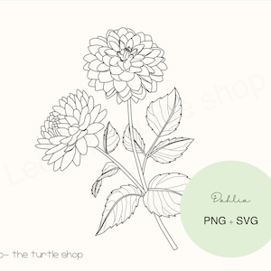 Dahlia flower lineart - PNG / SVG | Digital download | Botanical Clipart | Commercial use included