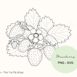 Strawberry lineart - PNG / SVG | Digital download | Plant Clipart | Botanical Clipart | Commercial use included