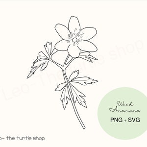 Bosanemonenplant Lineart - PNG/SVG | Digitale download | Plantenclipart | Botanische illustraties | Commercieel gebruik inbegrepen
