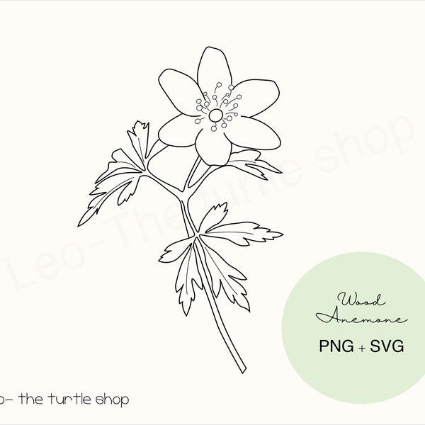 Wood anemone plant lineart - PNG / SVG | Digital download | Plant Clipart | Botanical Clipart | Commercial use included