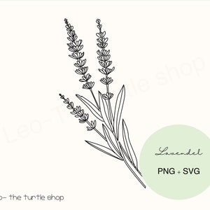 Lavendel plant lineart - PNG / SVG | Digital download | Plant Clipart | Botanical Clipart | Commercial use included