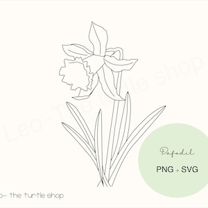 Narzissen Pflanze Ausmalbilder - PNG / SVG | Digitaler Download | Pflanzen Clipart | Botanische Clipart | Kommerzielle Nutzung inbegriffen