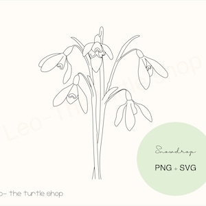 Snowdrop plant lineart - PNG / SVG | Digital download | Plant Clipart | Botanical Clipart | Commercial use included