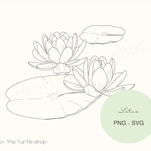 Lineart de flor de lótus - PNG / SVG | Download digital | Clipart de planta de lírios | Clipart botânico | Uso comercial incluído