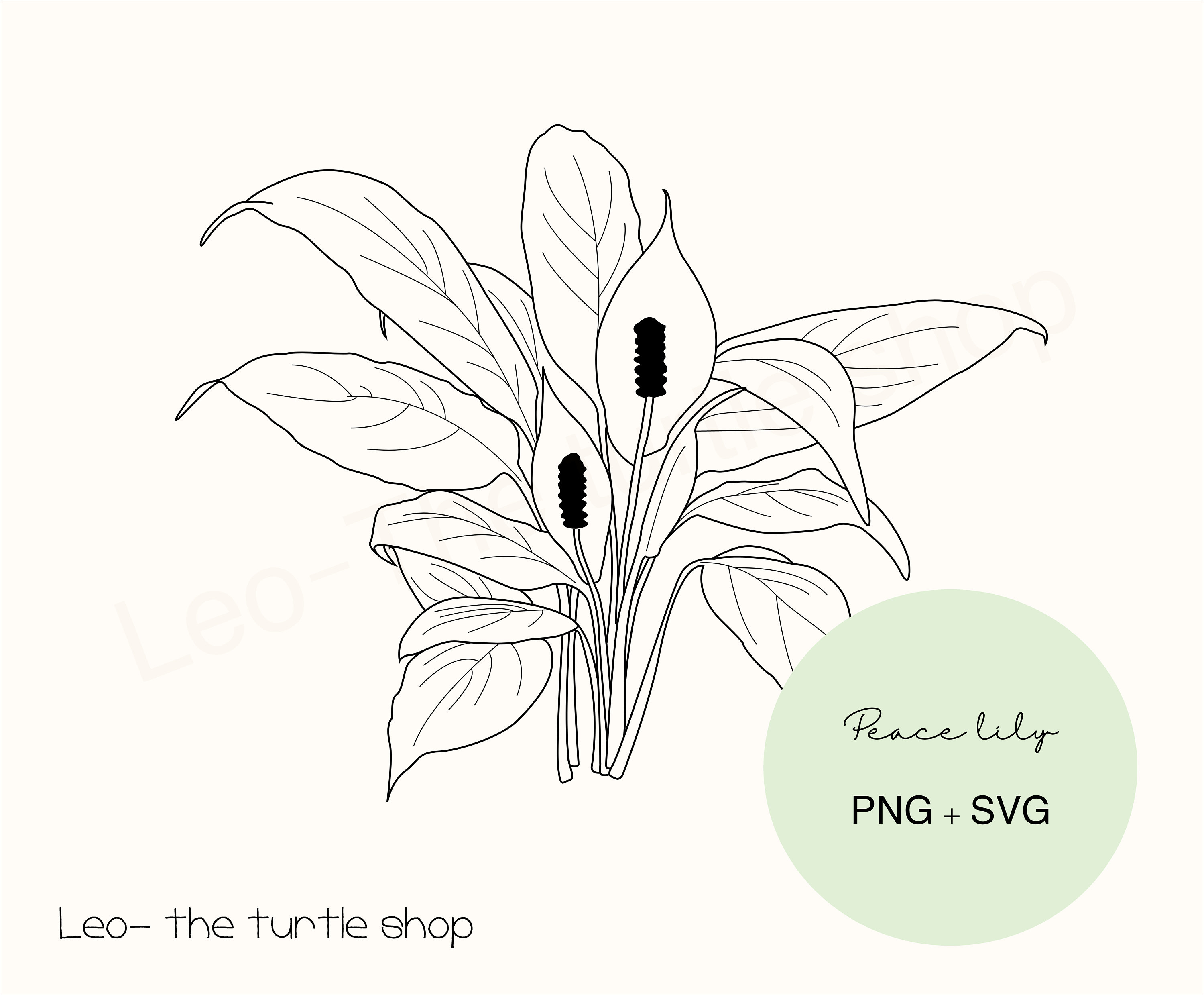Peace Lily Lineart SVG PNG Digital Download Plant Clipart Botanical