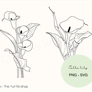 Calla lily lineart - PNG / SVG / Descarga digital / Plant Clipart / Botanical Clipart / Uso comercial incluido