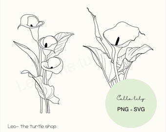 Calla lily lineart - PNG / SVG | Digital download | Plant Clipart | Botanical Clipart | Commercial use included