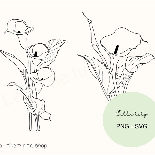 Calla lily lineart - PNG / SVG | Digital download | Plant Clipart | Botanical Clipart | Commercial use included