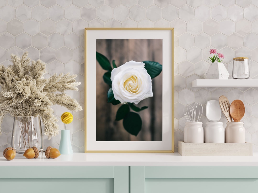 Printable Wall Art White Rose Flower Wall Art Print Rose Wall Etsy
