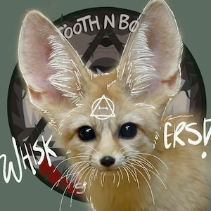 Whiskers Add On