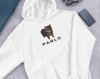 Pablo Cat Hoodie, Cat Meme Hoodie, Stupid Meme Hoodie, Funny Cat Sweater, Funny Cat Hoodie