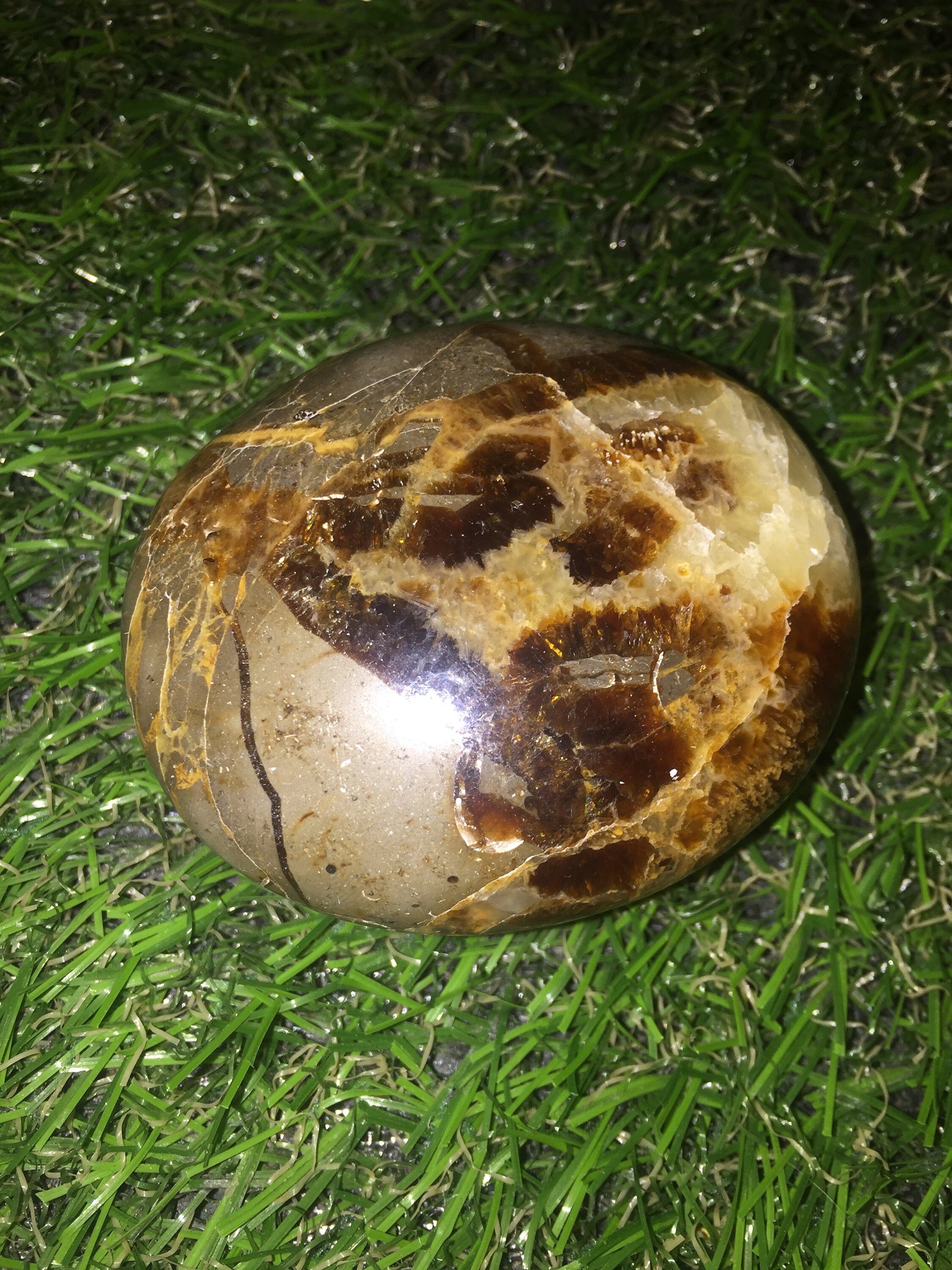 Septaria - Galet en Septaria Pierre Naturelle Lithothérapie