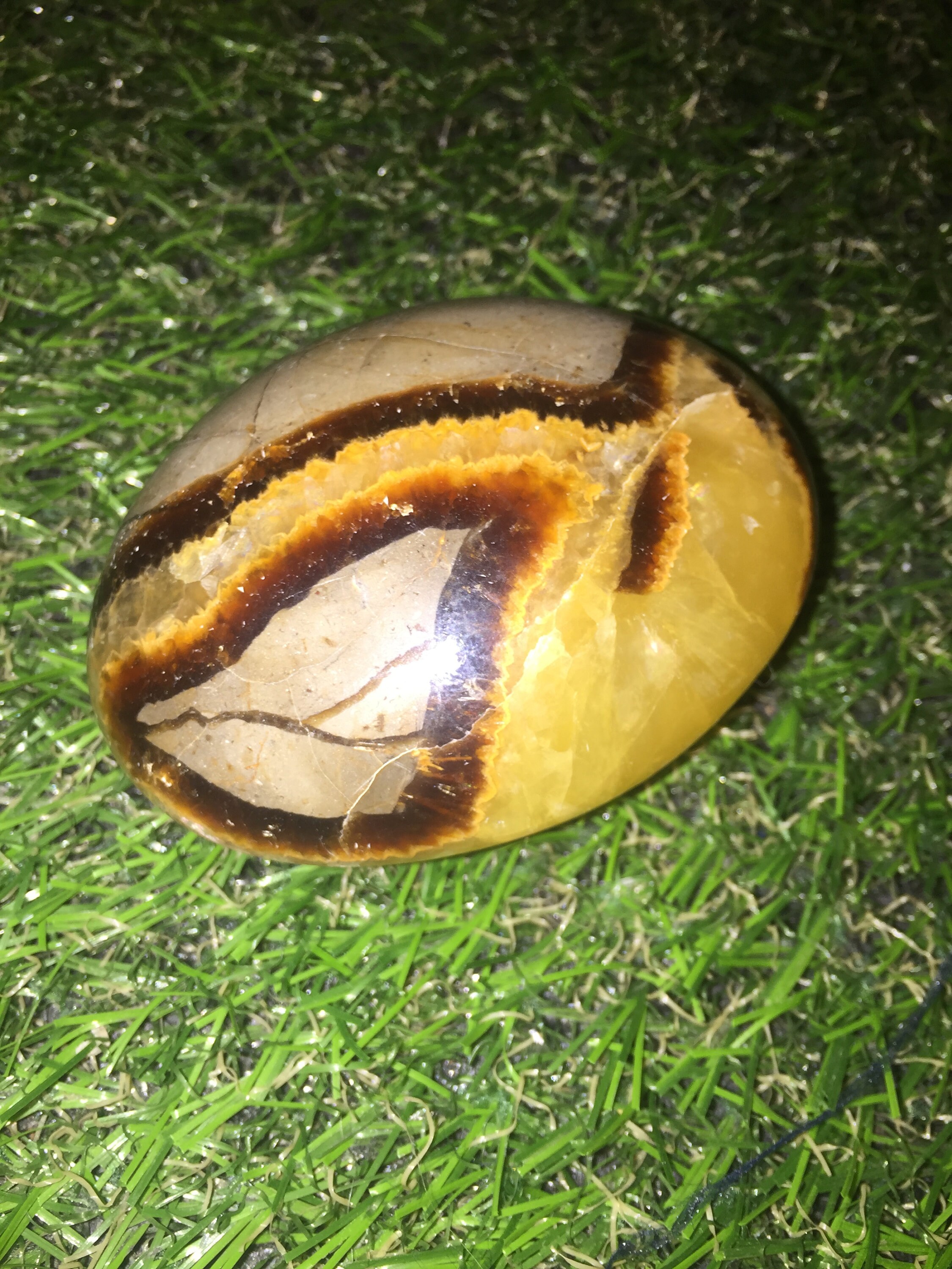 Septaria - Galet en Septaria Pierre Naturelle Lithothérapie