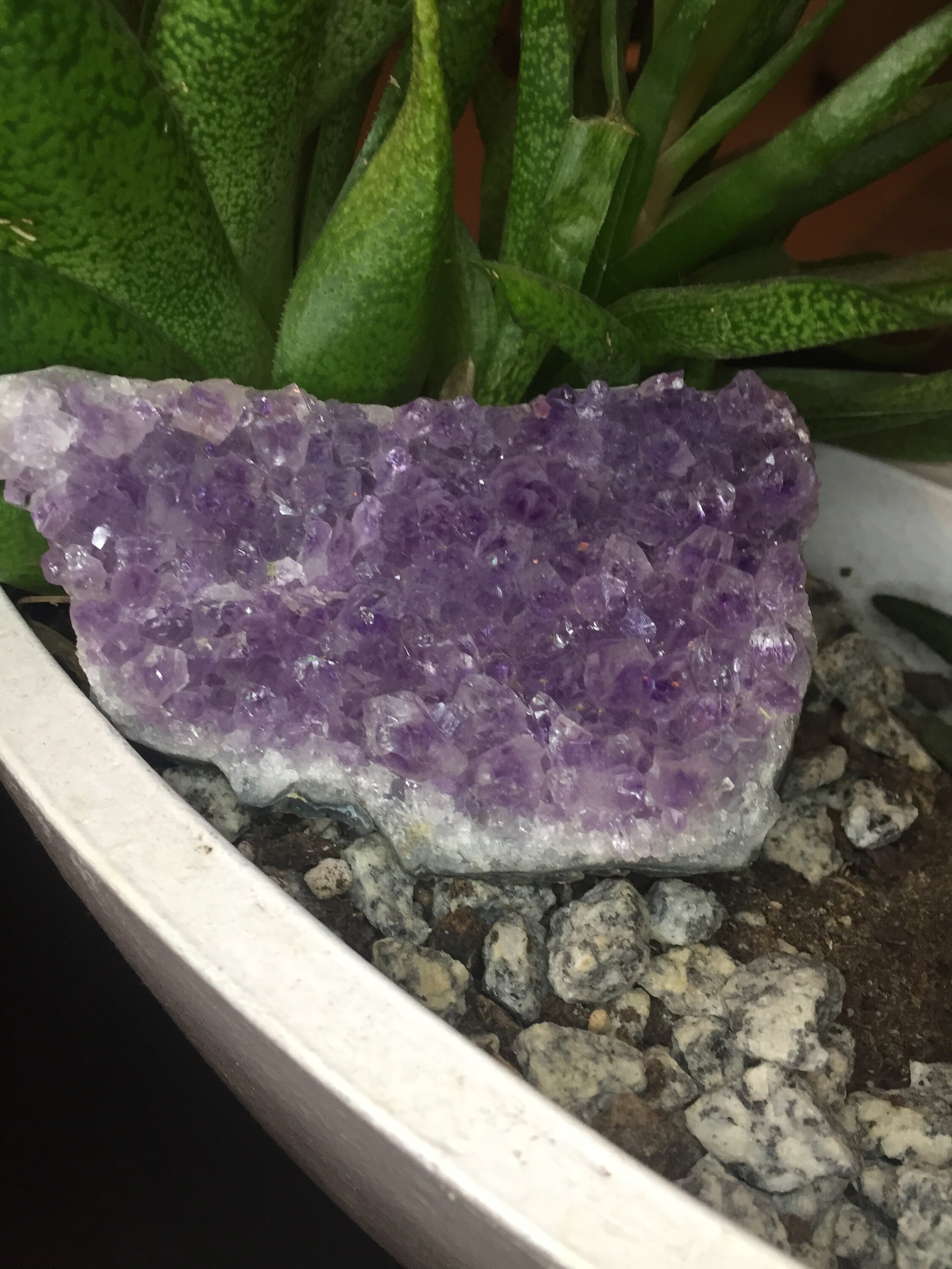 Améthyste Géode 168 G- Druse d'améthyste - Pierre Naturelle Semi-Précieuse