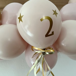 Birthday decoration girls pink balloon garland children&#39;s birthday decoration with number stickers