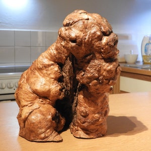 Interesting wood, wood growth, stump, foo dog sculpture