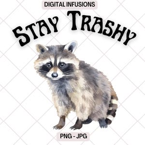 Stay Trashy Raccoon, arquivos JPG e PNG para sublimação e impressão