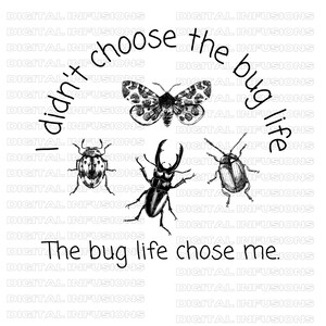 Exterminator SVG, Bug Life SVG, Pest Control, Cricut Cut Files, SVG ...