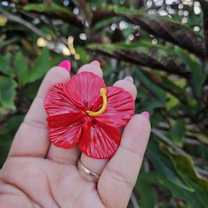 May include: A vibrant red hibiscus flower with a yellow stamen is held in a hand. The flower's petals have detailed veining. The background features green and maroon foliage. The flower is a decorative item.